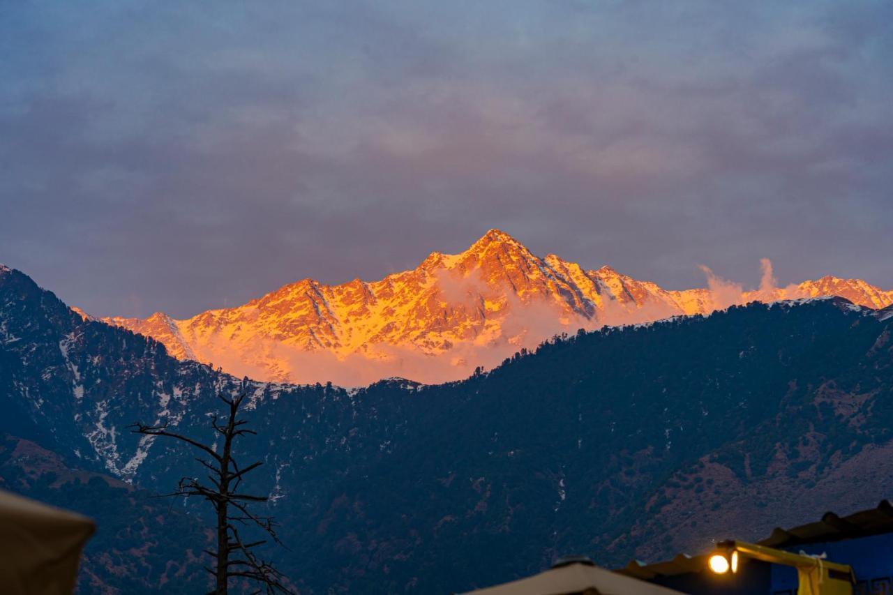 The Hosteller Mcleodganj, Mall Road 麦罗肯机 外观 照片